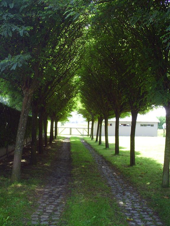 Apartment Capitalcondos Ninove Rom bilde