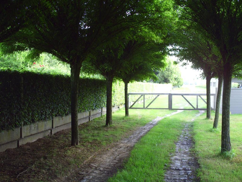 Apartment Capitalcondos Ninove Rom bilde